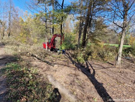 Vzdrževalna dela ob Kamniški Bistrici v naselju Šmarca in Nožice  (2)